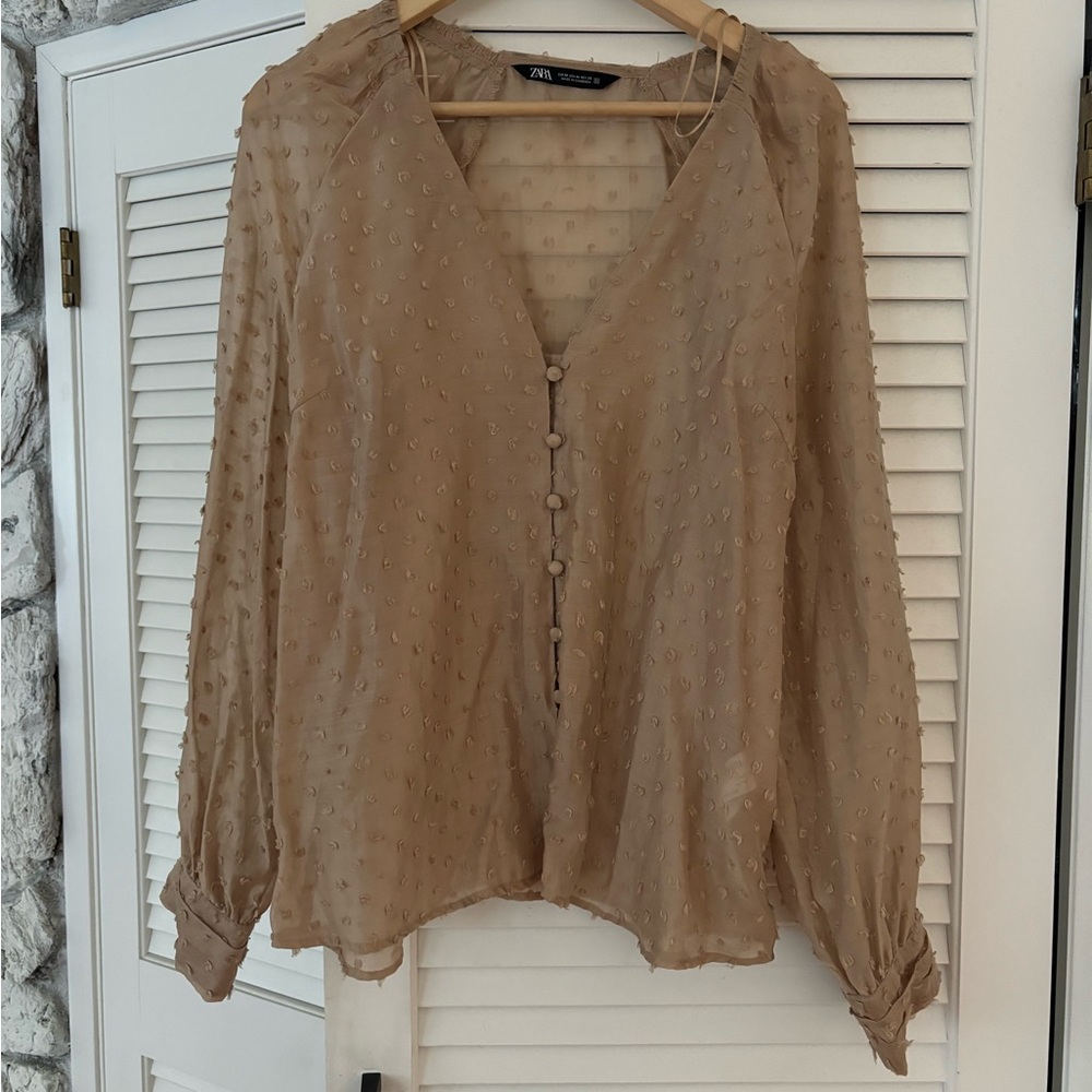 Zara Beige Sheer Blouse